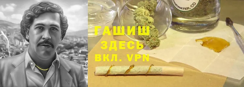 ГАШИШ Cannabis  Богданович 