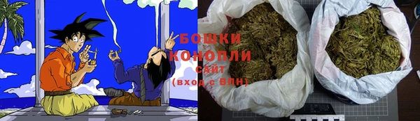 индика Покров