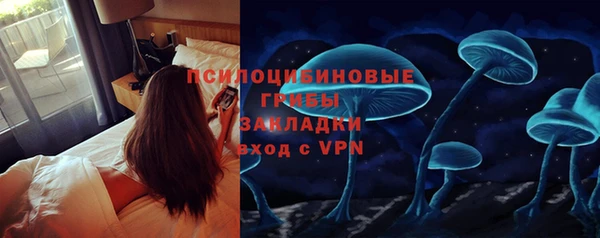 индика Покров