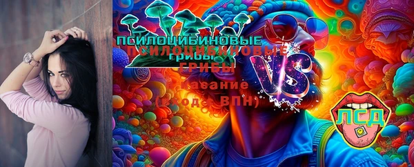 винт Пестово