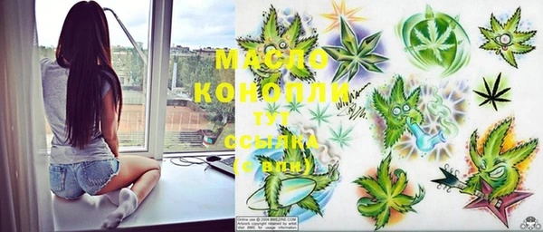 индика Покров