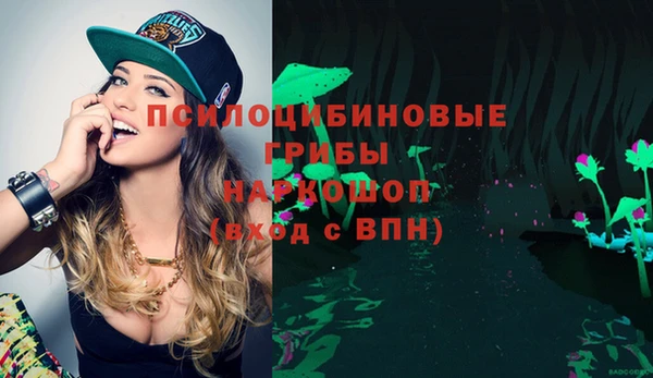 дживик Видное