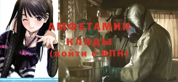 индика Покров