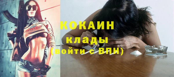 индика Покров