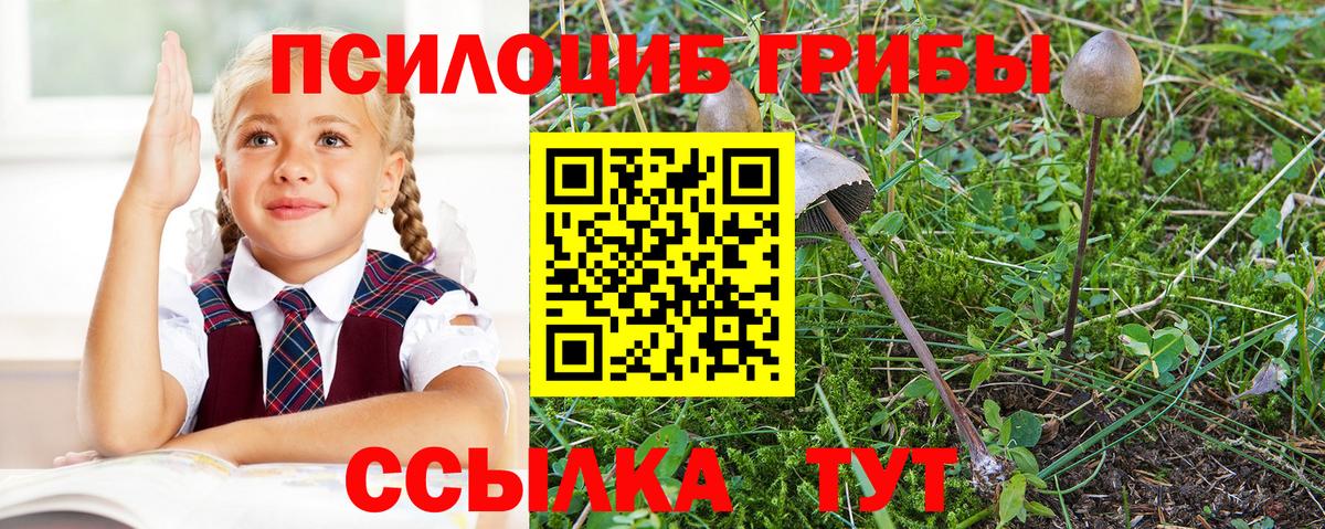 Галлюциногенные грибы мухоморы Богданович