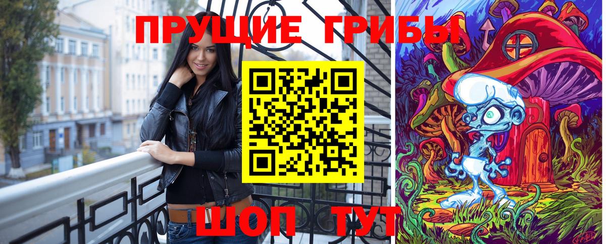 Галлюциногенные грибы Psilocybine cubensis  купить наркоту  Богданович  Галлюциногенные грибы Psilocybe 