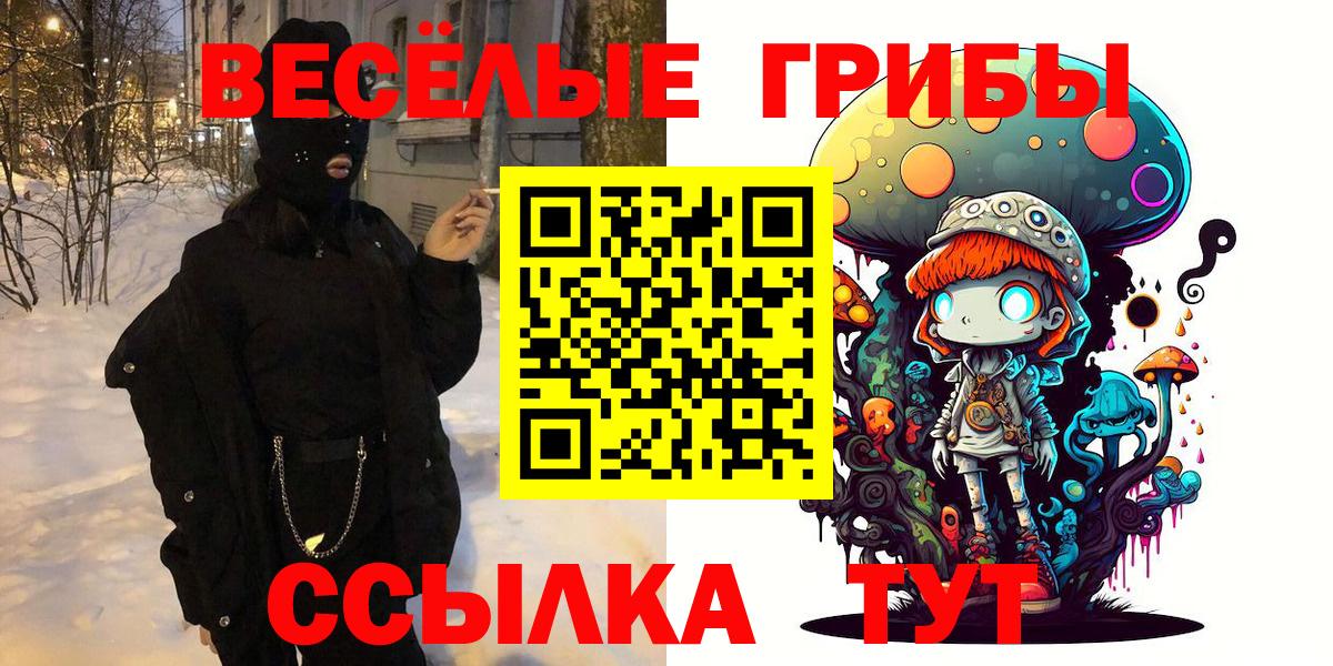 Богданович  Псилоцибиновые грибы MAGIC MUSHROOMS  Вход с VPN 