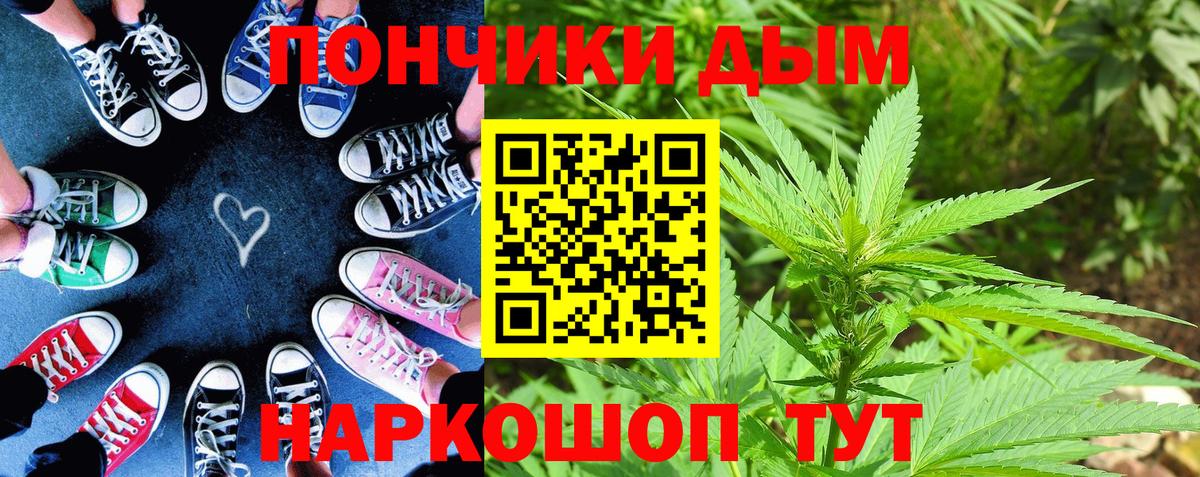 Шишки марихуана сатива Богданович